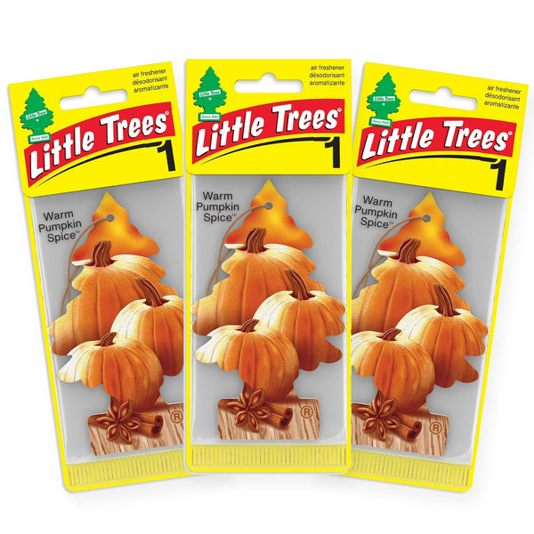 Little Trees Hanging Car Air Freshener, Warm Pumpkin Spice, 3-Pack