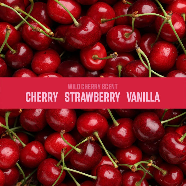 Ozium Odor Eliminating Gel Air Freshener 4.5 oz Wild Cherry for Home Car Office, 6 Pack