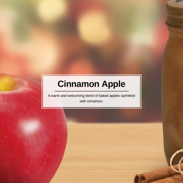 Little Trees Hanging Car Air Freshener, Cinnamon Apple, 1-Pack