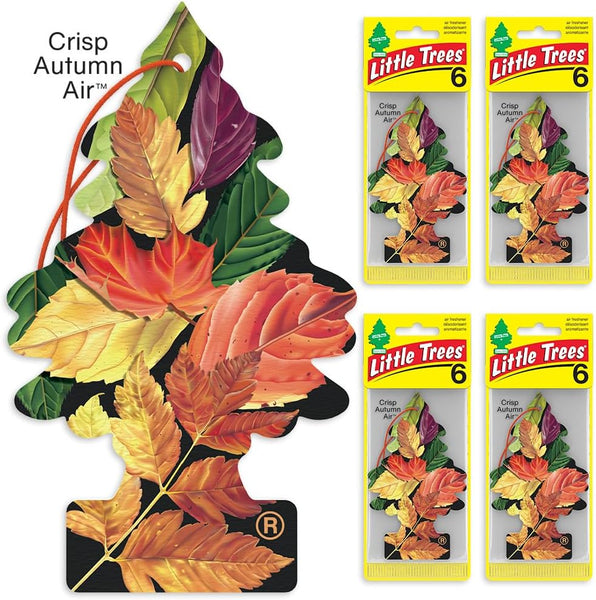 Little Trees Auto Air Freshener, Hanging Card, Crisp Autumn Air, 24 Pack