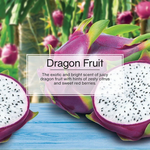 Little Trees Hanging Car Air Freshener, Dragon Fruit, 2-Pack
