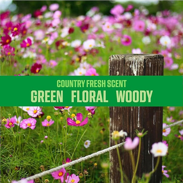 Ozium 8 Oz. Air Sanitizer & Odor Eliminator for Homes, Cars, Offices and More, Country Fresh, 4 Packs