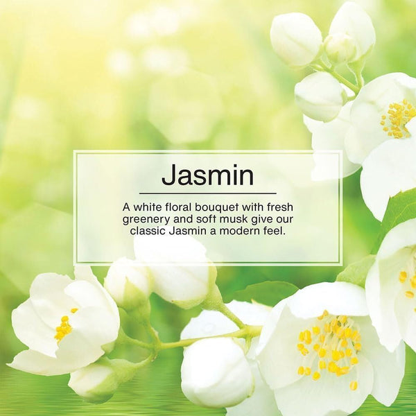 Little Trees Hanging Car Freshener Cardboard Paper For Home Car Office Jasmin Pack of 3