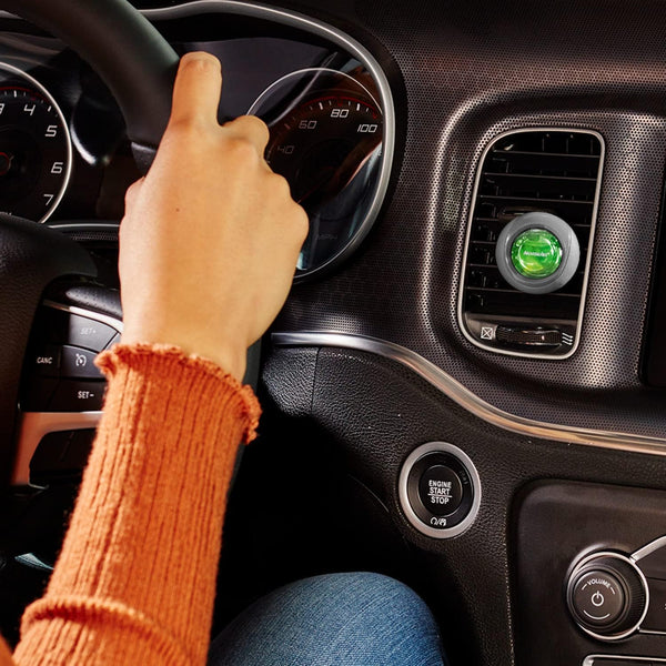 Armor All Essential Blends Car Air Freshener, Car Odor Eliminator, White Tea and Rose Scent, 0.08 Fl Oz, Multicolor, 2 Packs