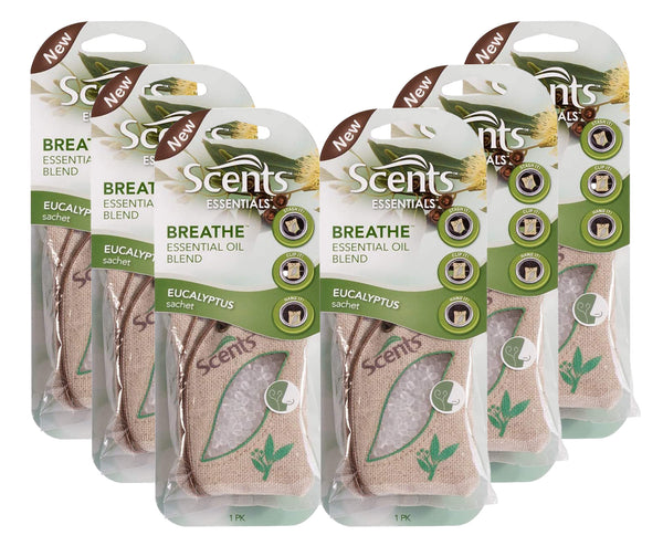 Scents Automotive Essentials Air Freshener: Breathe, Eucalyptus Sachet, 6 Pack