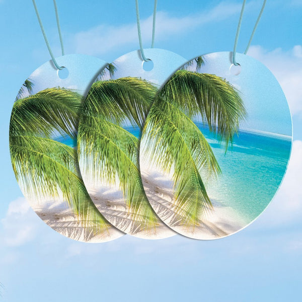 Armor All FRESHfx Car Air Freshener Hanging Card, 3-Count (Island Oasis)