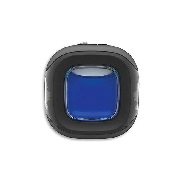 Little Trees Vent Liquid Car Air Freshener (New Car Scent)