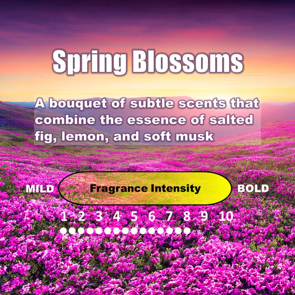 Stealth Stix, Car Air Freshener, Long Lasting Vent Clip Freshener, Spring Blossoms Scent (2 per pack)