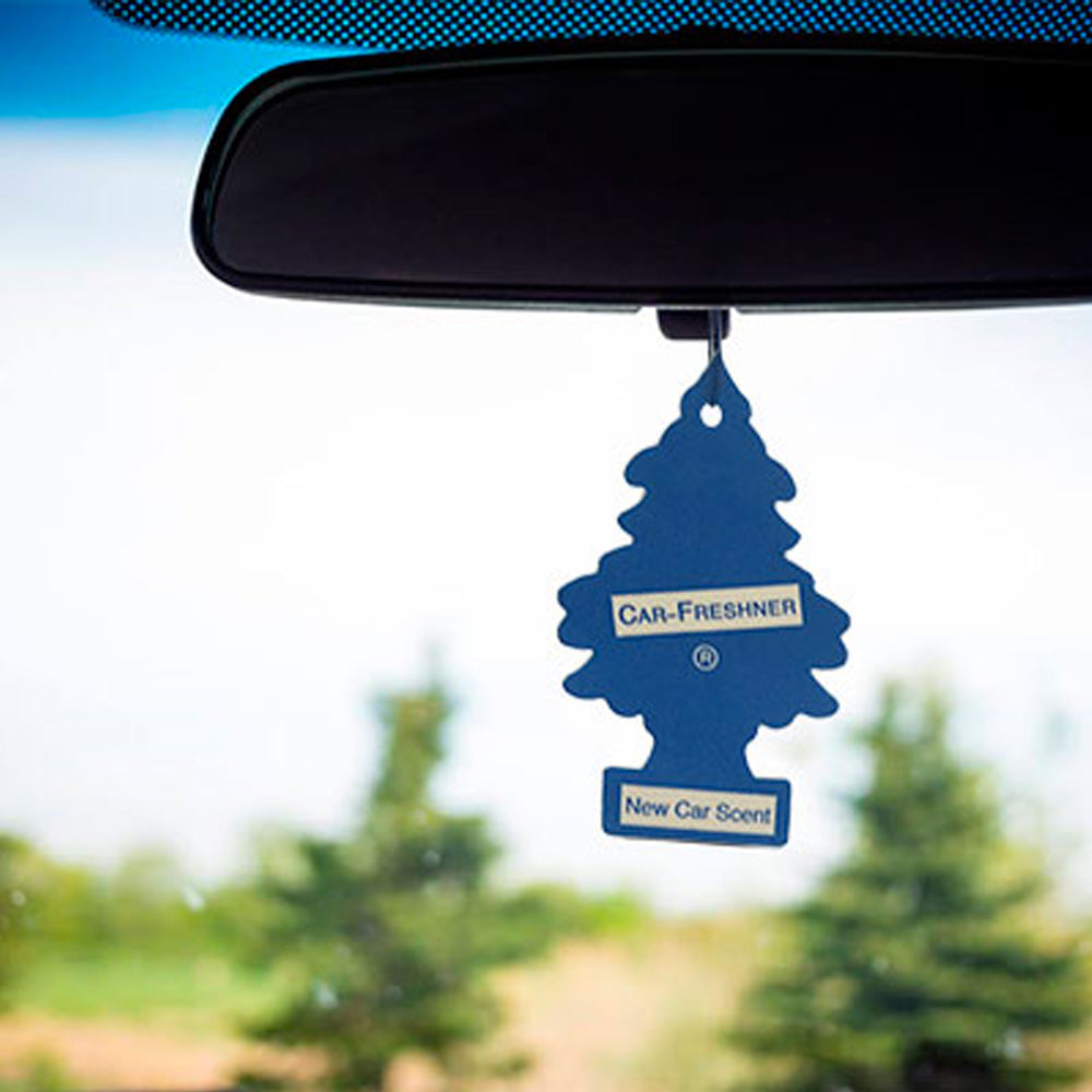 Little Trees Car Air Freshener 6-Pack (New Car Scent) by GOSO Direct