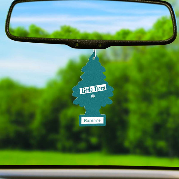 Little Trees Car Air Freshener 24-Pack (Rainshine)