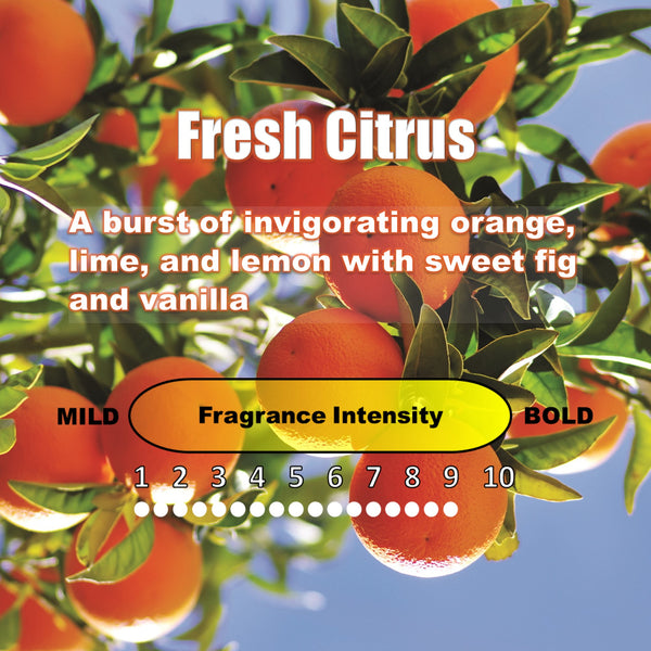 Stealth Stix, Car Air Freshener, Long Lasting Vent Clip Freshener, Fresh Citrus Scent (2 per pack)