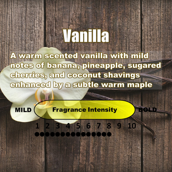 Stealth Stix, Car Air Freshener, Long Lasting Vent Clip Freshener, Vanilla Scent (2 per pack)