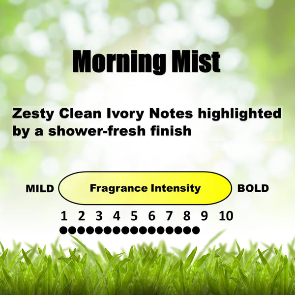 Stealth Stix, Car Air Freshener, Long Lasting Vent Clip Freshener, Morning Mist Scent, 4-Pack (2 per pack)