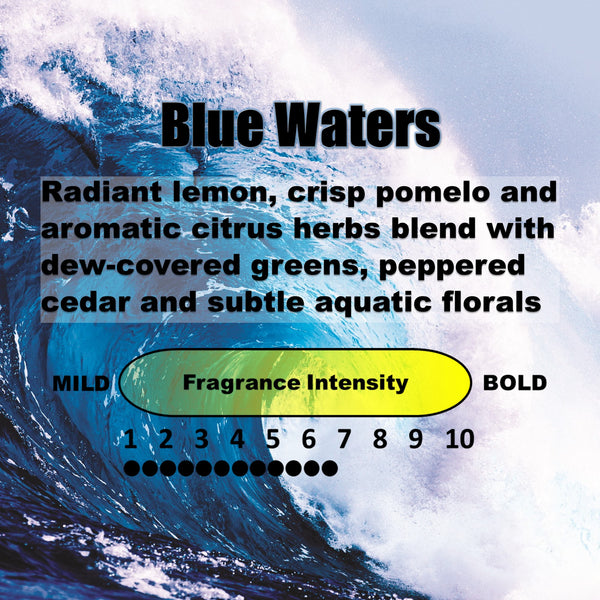 Stealth Stix, Car Air Freshener, Long Lasting Vent Clip Freshener, Blue Waters Scent, 4-Pack (2 per pack)