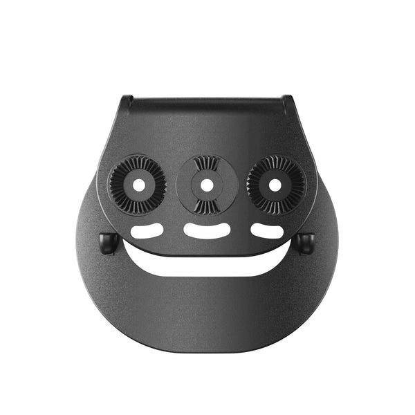 Orpaz P250 Holster with Sig Sauer P250 Magazine Holder, Level II OWB Paddle Holster