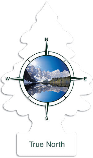 Little Trees Air Fresheners, True North (Pack of 24)