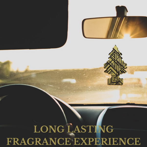 LITTLE TREES Car Air Freshener Hanging Paper Tree, Provides Long Lasting Scent for Car or Home, GOLD, 6 Packs