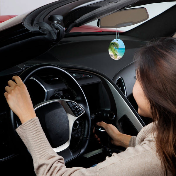 Armor All FRESHfx Car Air Freshener Hanging Card, 3-Count (Island Oasis)