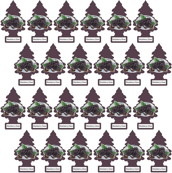 Little Trees Hanging Car and Home Air Freshener, Blackberry Clove Scent (Pack of 24)