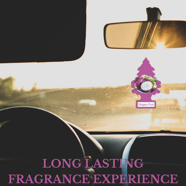 LITTLE TREES Car Air Freshener Hanging Paper Tree, Provides Long Lasting Scent for Car or Home, DRAGON FRUIT, 6 Pack