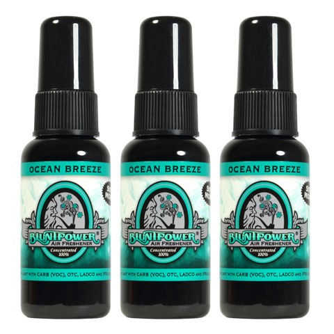 Blunt Power Air Freshener Spray, Oil Based Concentrated Air Freshener and Oil Diffuser, Air Freshener Spray for Car, Room, Bathroom, Odor Eliminator and Room Deodorizer, Ocean Breeze, 1.5 oz, 3 Pack