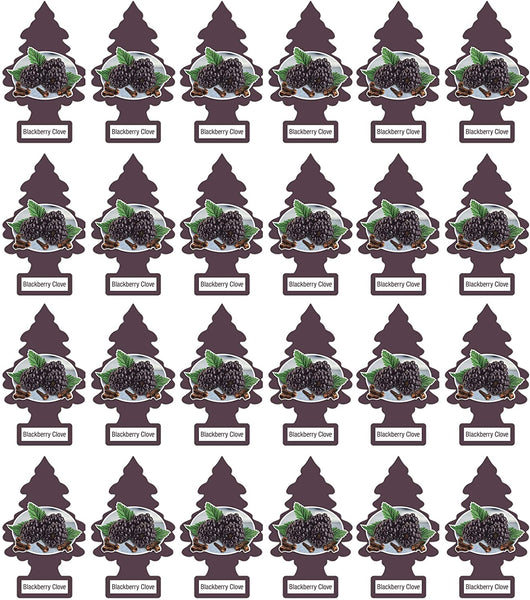 Little Trees Hanging Car and Home Air Freshener, Blackberry Clove Scent (Pack of 24)