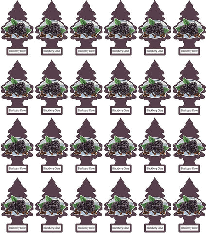 Little Trees Hanging Car and Home Air Freshener, Blackberry Clove Scent (Pack of 24)