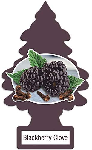 Little Trees Hanging Car and Home Air Freshener, Blackberry Clove Scent (Pack of 24)