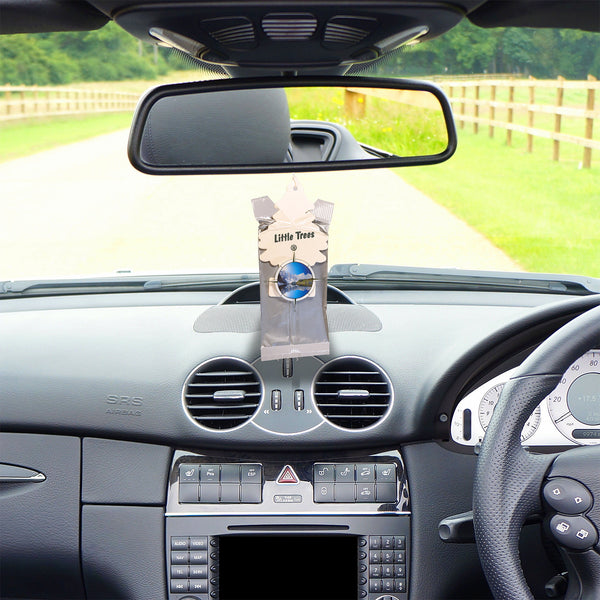 Little Trees Air Fresheners, True North (Pack of 12)