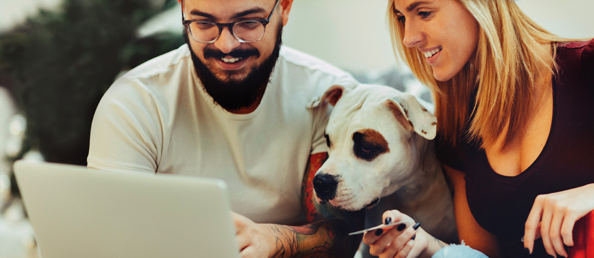 Goso Direct All Categories